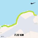 월남전참전자회 | 2021년 제헌절 마라톤 후기!! 아이런 마라톤 레포츠