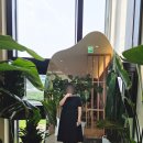 펄스맥 경기광주점 이미지