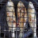 이일주농장 이미지