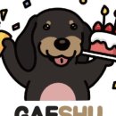 개슈(GAESHU) 이미지