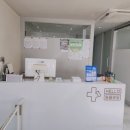 헬로우동물병원 여의도점 | 연희동 헬로우동물병원