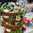 세라케이크seracake