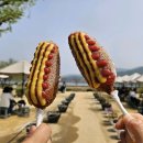 두물머리연핫도그 내돈내산 후기 모음