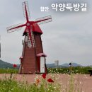 희망의 꽃밭에서 | 5월,6월엔 여기 함안 악양둑방길 양귀비 실시간 위치 주차장 꽃말 주변 여행지 총정리