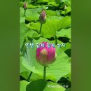 이애란 ♬ '인생아' 좋은 글 이미지