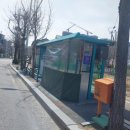 원광대 사거리 이미지