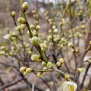 산들아 | ㅣ충주. 산들아 2개 입고 후기