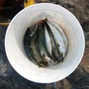 당나라 당구장 이미지