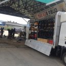 과일나라 앞 이미지