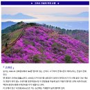 ♣4/16(일)고려산 진달래 축제 산행 이미지