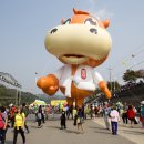 머슴한우 이미지