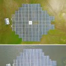 대조태양광발전소 이미지