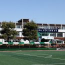 대전중앙초등학교 Daum카페