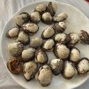 반야월벌교꼬막 | [대구 반야월 맛집] 반야월벌교꼬막, 1인 혼밥도 가능한 찐 맛집