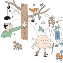 OPTIMAL NATURE 이미지