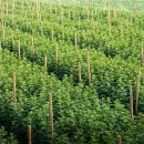 공동체농법지원센터영농조합법인 | 2026년 농업인 직불금, 더 든든하게! 확대 지원 총정리