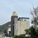 여수 돌산 카페 카페드몽돌 좋았던 후기 (애견동반 가능)