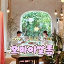 망고네 펫 살롱 | 서귀포 안덕 카페 | 아기 고양이와 동화 같은 정원이 있는 유럽풍 홍차 전문점 오마이살롱