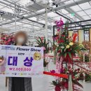 꽃썸플라워