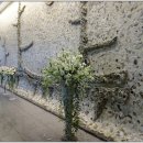 분당요한성당 이미지