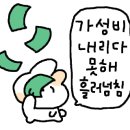 강씨네사진관 이미지
