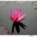 물에서산으로 이미지