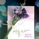 땡쓰미미
