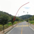 이동초교 이미지