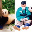 셀러바오 이미지