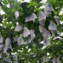 벧엘농원 이미지