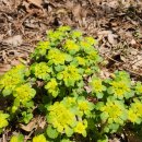 외씨버선길(치유의길) | 아름다운자연 외씨버선길8길(치유의길)2026년4월18일