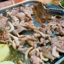 돼지와유황오리 이미지