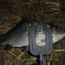 청도천4 이미지