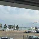 아라비카 커피로스터스 | 포항 카페추천 영일대 커피맛집, 아라비카 커피로스터스 후기