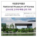 새황금 | 국립중앙박물관 1층 선사고대관, 놓치면 아쉬운 유물들🪨