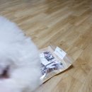 삼복이네 수제간식 이미지