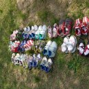 꿈나무유치원 이미지