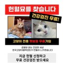 한국고양이혈액센터 이미지