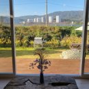 서시루아 이미지