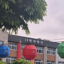 ITQ | 직장인 ITQ 자격증 독학 후기 (3) _ 시험후기