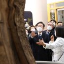 담양에코 이미지