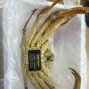 갈릴리 수산물 도매 이미지