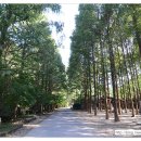 풀내음쉼터 이미지