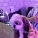 천사노래연습장 이미지