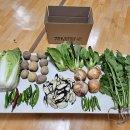 (주)열무 이미지