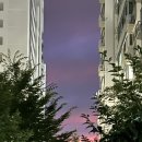 라나엄마