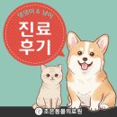 BS조은동물병원 | 뽀뽀(스피츠/14살)의 진료 후기_대구 수성구 조은동물의료원
