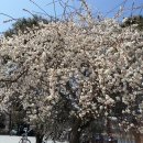 털보농장 이미지