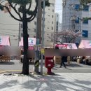 안다로미 이미지