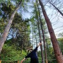 두리개펜션 | [경기/가평] 감성 글램핑 온더락 / 아침고요수목원과 가까운 펜션